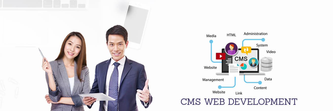 cms web development banner